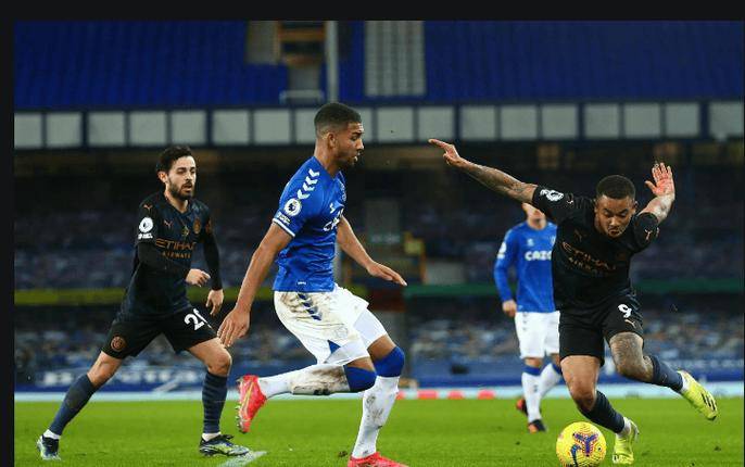 纽卡斯尔主场不敌埃弗顿，遭遇连败的简单介绍