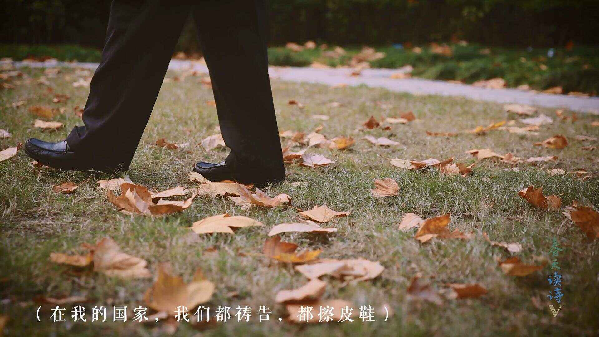 无谓争议：风波不断，球场上的战火